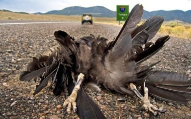 n1392156850_30204002_3946